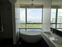 The View @ Meyer (D15), Apartment #573166471